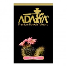 ADALYA Кактус