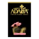 ADALYA Кактус